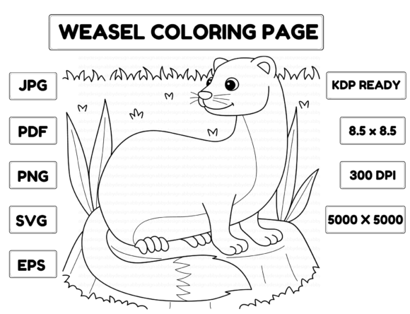 A Brand Designer's Review of a Weasel Coloring Page for Business Graphics