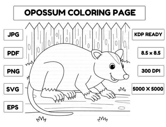 A Designer's Review of the Opossum Coloring Page for Embroidery