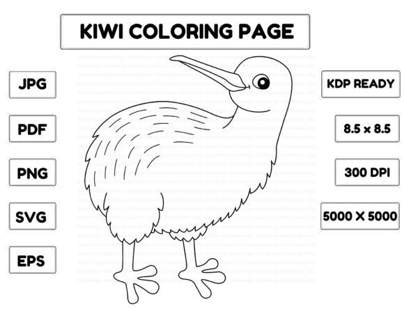 A Kiwi Coloring Page Graphic for Commercial Product Design