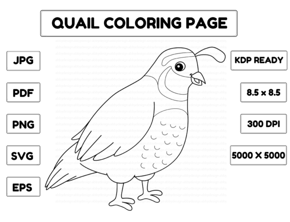 A Practical Review of a Quail Coloring Page for Digital Sales