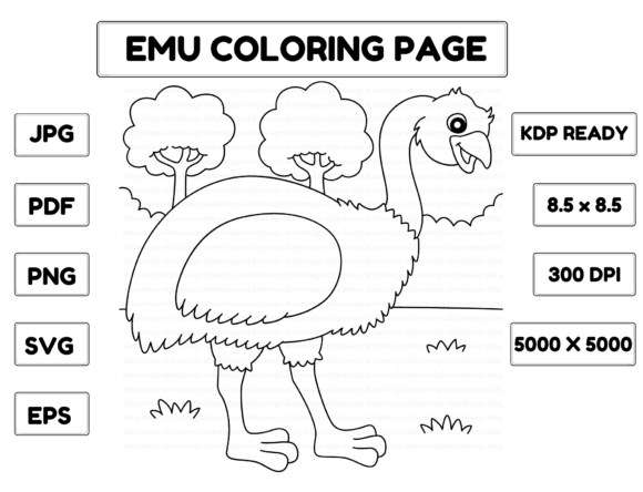 A Versatile Emu Illustration Asset for Graphics & Coloring Pages