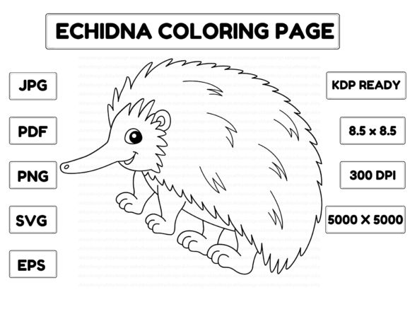 An Echidna Coloring Page for Crafters and Digital Product Sellers