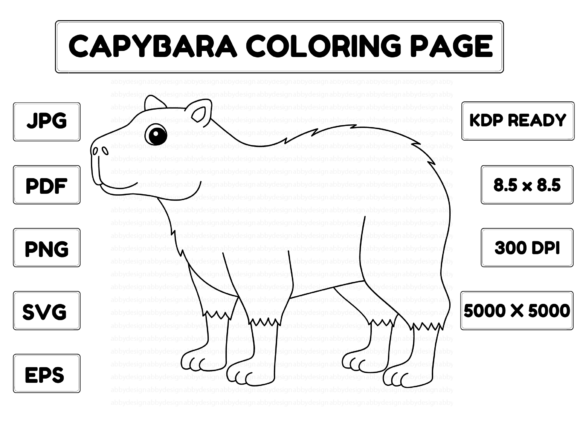 An SVG & PNG Review: Capybara Coloring Page Graphics