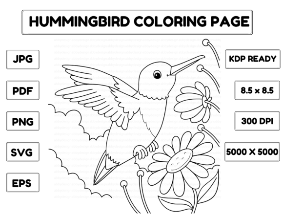 Hummingbird Graphics: A Brand Designer’s Review for Coloring Pages