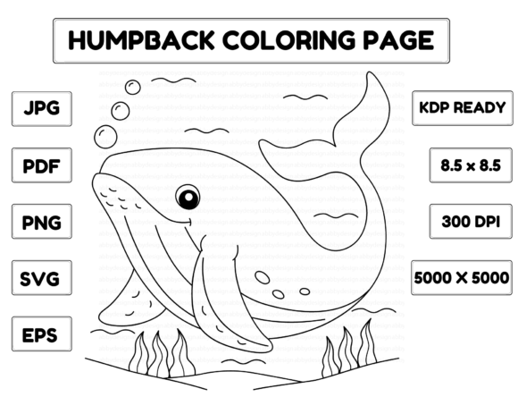 Humpback Whale SVG for Kids Crafting & Design