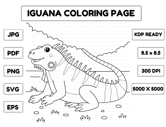 Iguana Coloring Page as a Versatile Graphics Asset