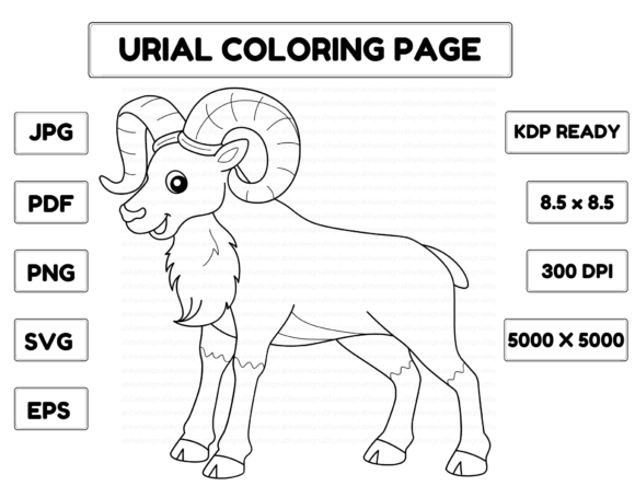 Reviewing the Urial Animal Graphic for Craft Projects