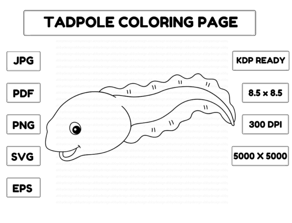Tadpole Animal Coloring Page Graphics for Creative Coloring Pages